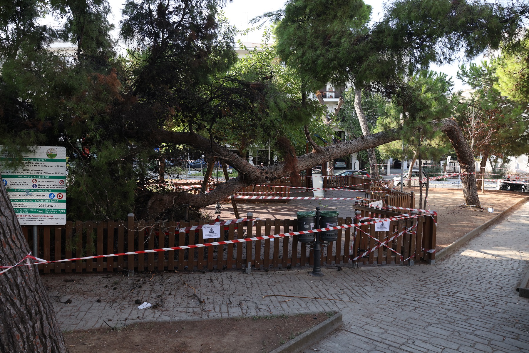 Καλαμαριά: Έπεσε δέντρο πάνω σε μητέρα και παιδί ενώ βρίσκονταν σε παιδική χαρά