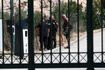 Κυψέλη: Βρέθηκαν ανθρώπινα οστά κοντά σε γήπεδο