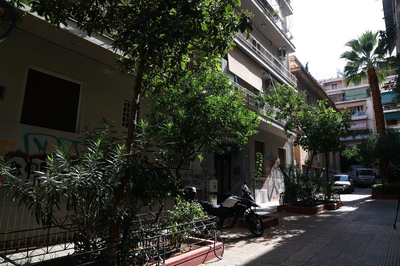 Κυψέλη: 