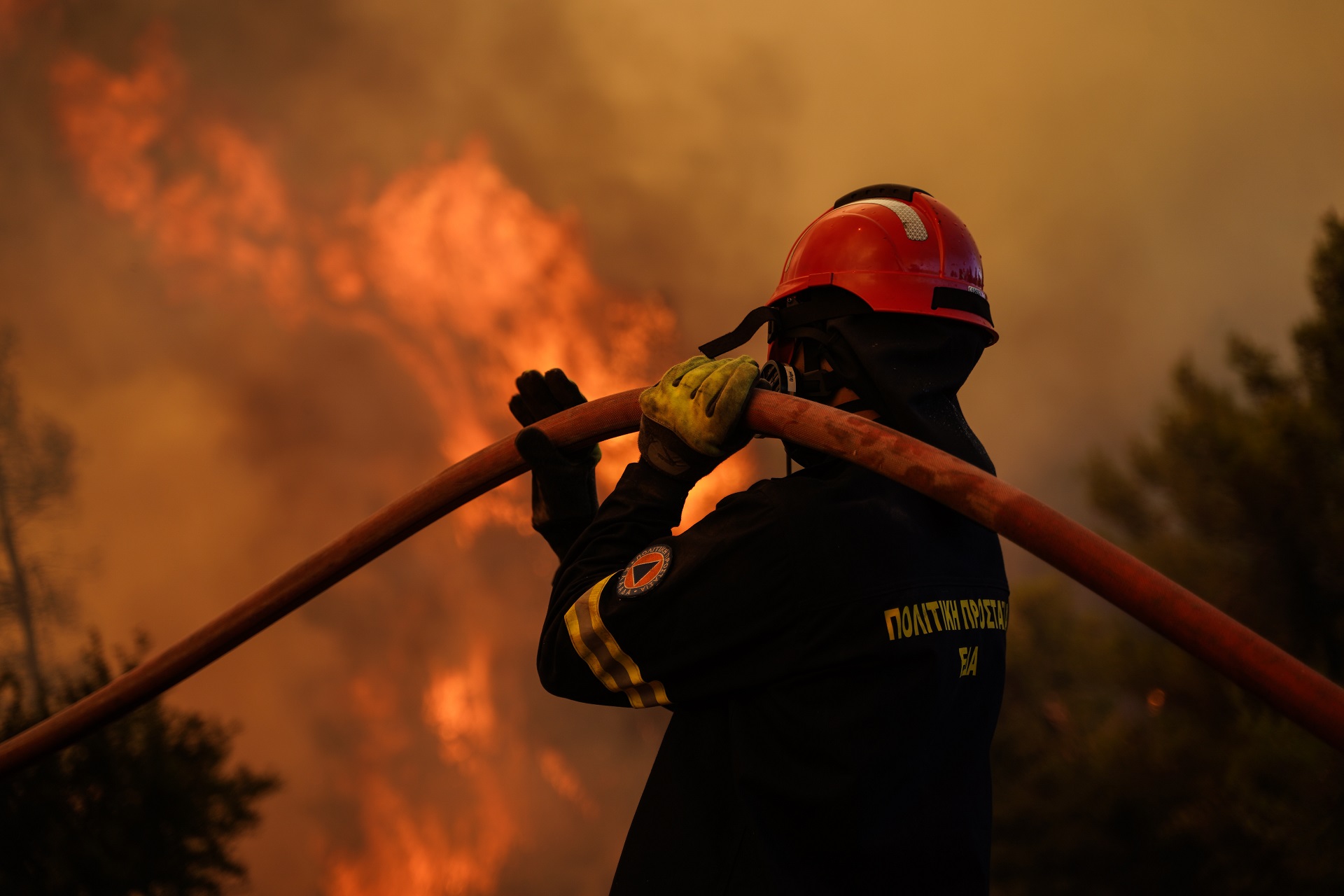 Τι συνέβη με τις φωτιές το καλοκαίρι – Ο χάρτης των 270.000 καμένων στρεμμάτων