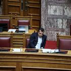Ο Θάνος Πλεύρης