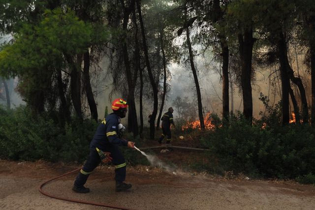 Λαγονήσι: Συνελήφθη 25χρονος για εμπρησμό από πρόθεση