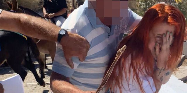 Σαντορίνη: Τραμπούκοι αγωγιάτες γαϊδουριών ξυλοκόπησαν ακτιβίστριες