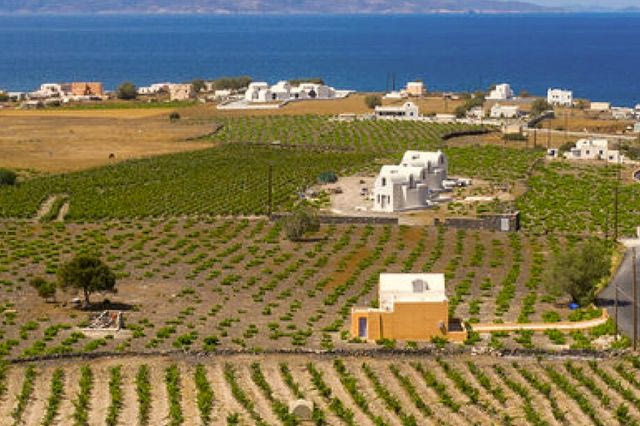 Κτήμα Σιγάλα