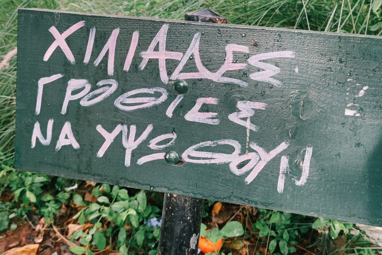 Παγκάκι στα Ιλίσια