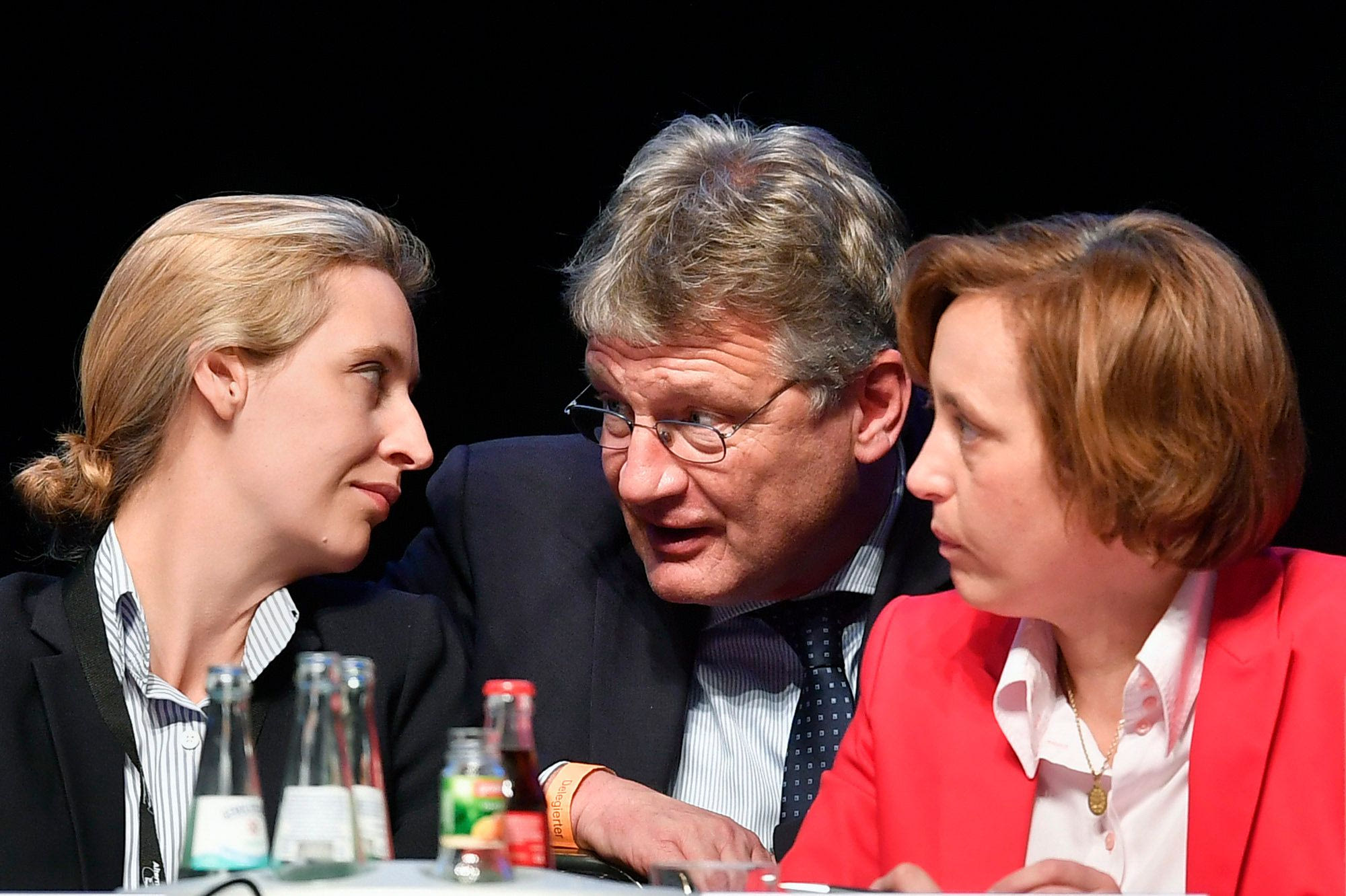 Joerg Meuthen, Alice Weidel και Beatrix von Storch του AfD
