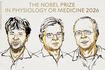 Νόμπελ Ιατρικής: Στους Karl Deisseroth, Peter Hegemann και Georg Nagel το φετινό βραβείο