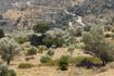 Θρίλερ στα Χανιά: Ανθρώπινος σκελετός βρέθηκε σε χωράφι