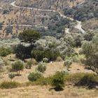 Θρίλερ στα Χανιά: Ανθρώπινος σκελετός βρέθηκε σε χωράφι