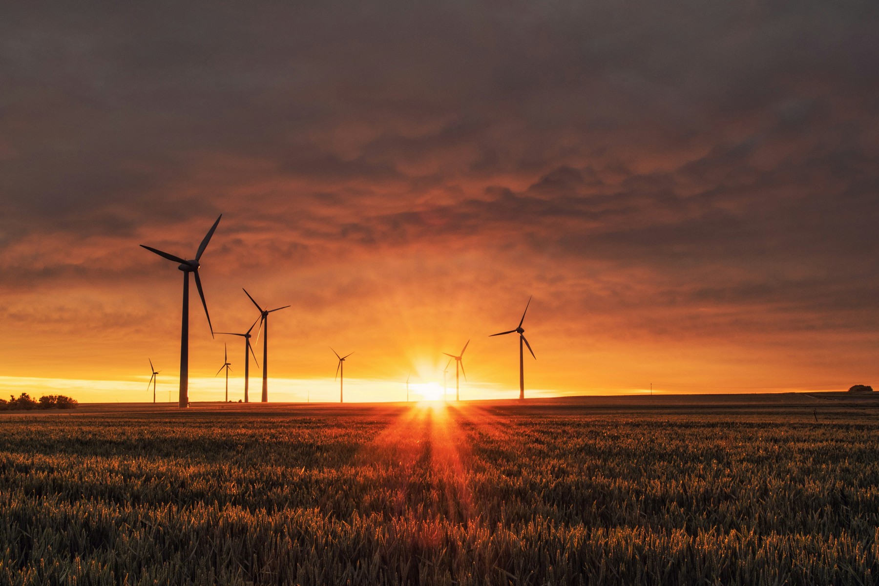 Energy Stories: Ιστορίες που φωτίζουν τον κόσμο