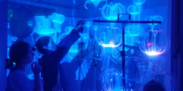 Από το ελληνικό Medusa Valley στα πεύκα της Ρώμης: Η φύση που αλλάζει γίνεται ψηφιακή τέχνη