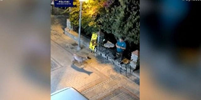 Νικήτη Χαλκιδικής: Άγριο ζώο πλησίασε κάτοικο σε απόσταση αναπνοής – Βίντεο