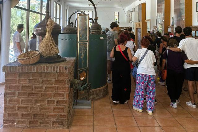Μουσείο Βαρβαγιάννη: Η ιστορία του ούζου προσελκύει επισκέπτες από σχεδόν 60 χώρες