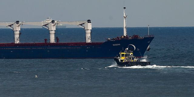 Εμπορικό πλοίο στη Μαύρη Θάλασσα (φωτογραφία αρχείου)