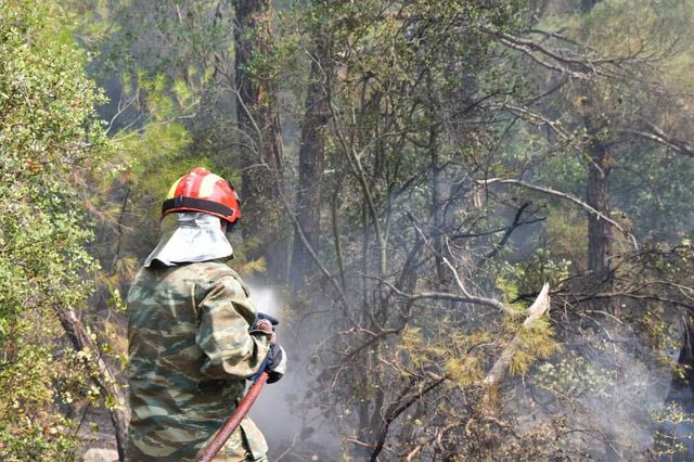 Φωτιά σε δάσος στο Σουφλί – “Μπήκε” από τη Βουλγαρία