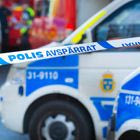 Σουηδία: Αστυνομικοί πυροβόλησαν άνδρα έξω από το ανάκτορο της Στοκχόλμης