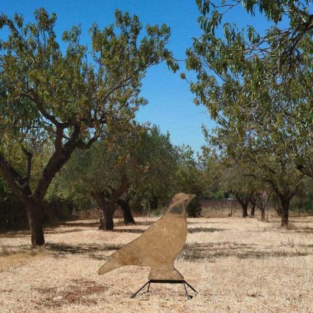 Πήγαμε Τήνο με οδηγό ένα “Αόρατο Νήμα”: Τέχνη και γεύσεις στο χωριό Αγάπι